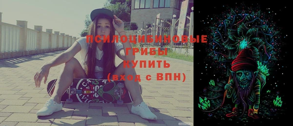 МДПВ Абаза