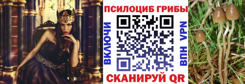 Псилоцибиновые грибы Cubensis  где можно купить наркотик  Белоусово 