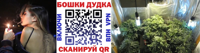 Канабис Bruce Banner  закладки  Белоусово 